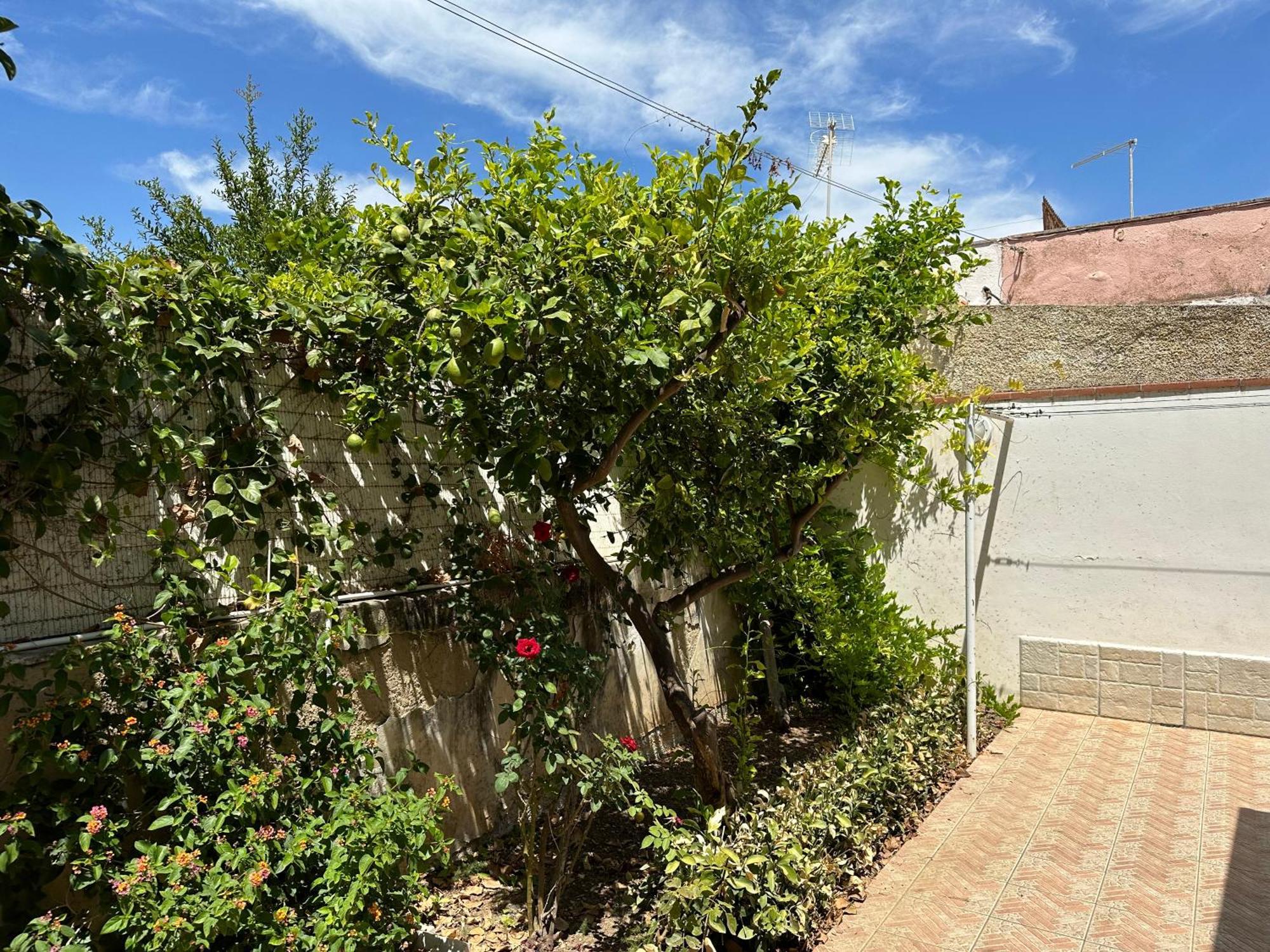 Villa San Leo San Leone Exteriér fotografie